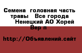 Семена (головная часть))) травы - Все города  »    . Ненецкий АО,Хорей-Вер п.